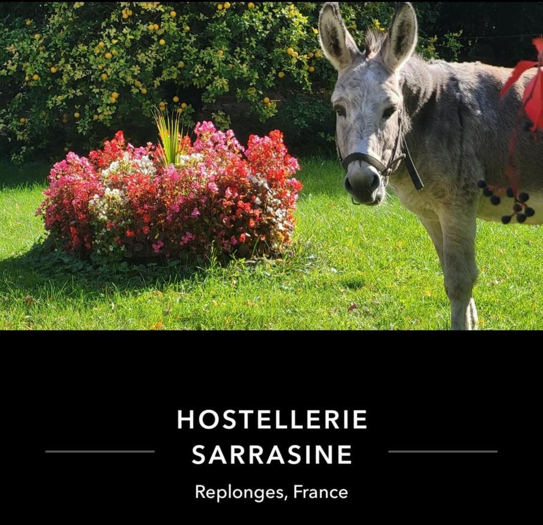 Hostellerie Sarrasine - Macon Est ルプロンジュ エクステリア 写真